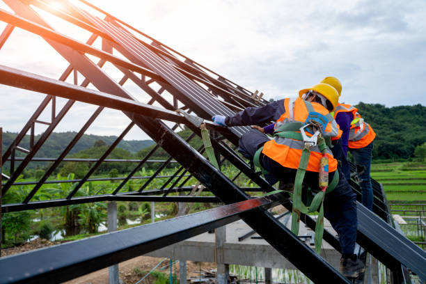 Best Roof Gutter Cleaning  in Portageville, MO