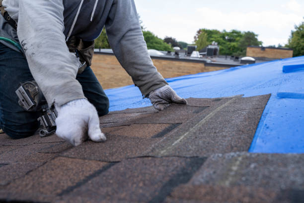 Best Storm Damage Roof Repair  in Portageville, MO