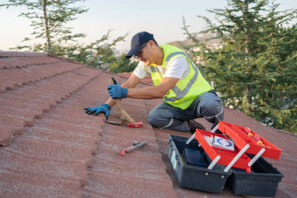 Best Roof Restoration Services  in Portageville, MO